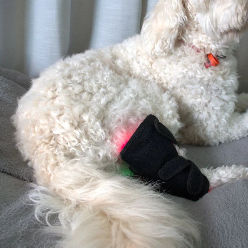 Pawlight Red Light Leg Wrap
