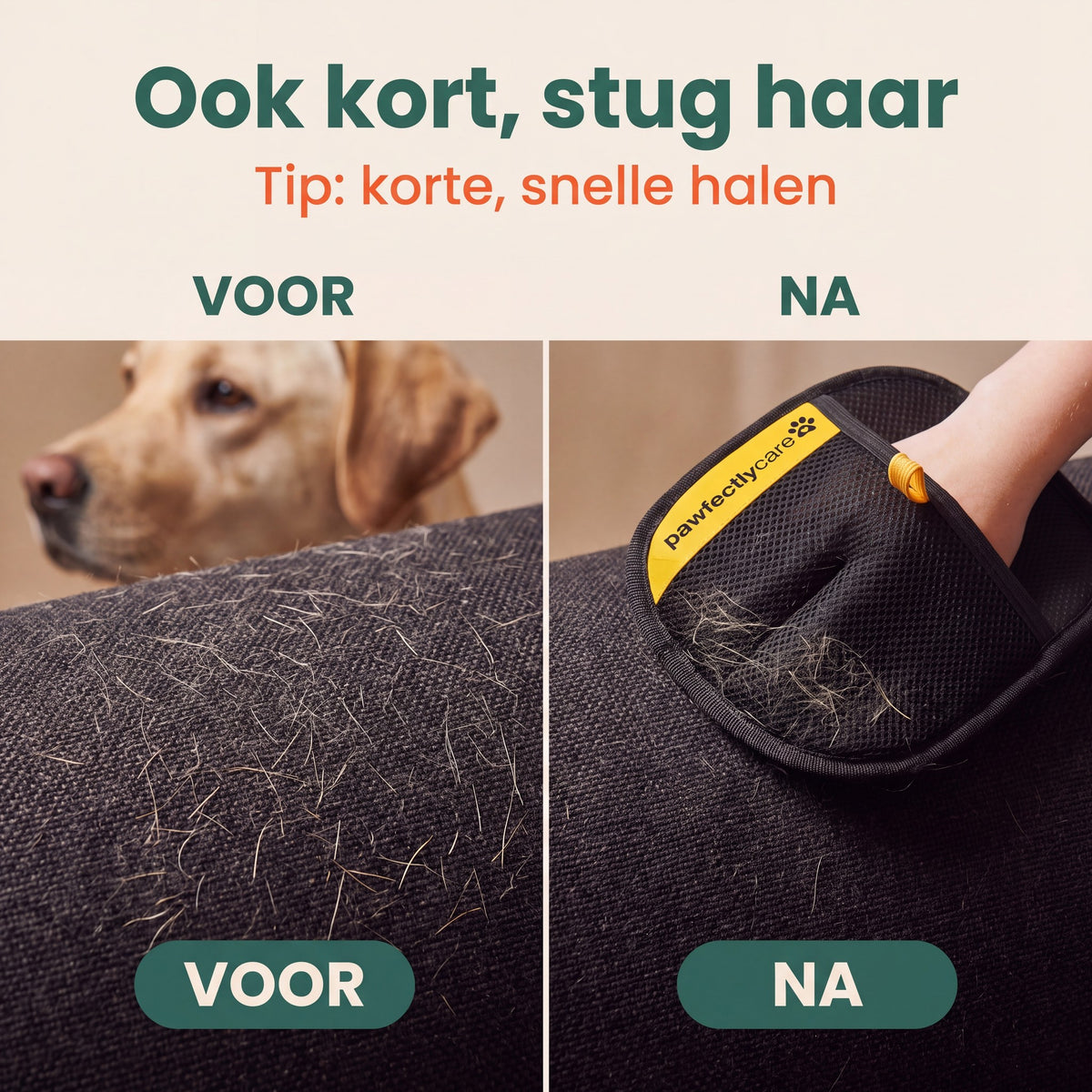 Zwarte bank met kort hondenhaar, voor en na de handschoen