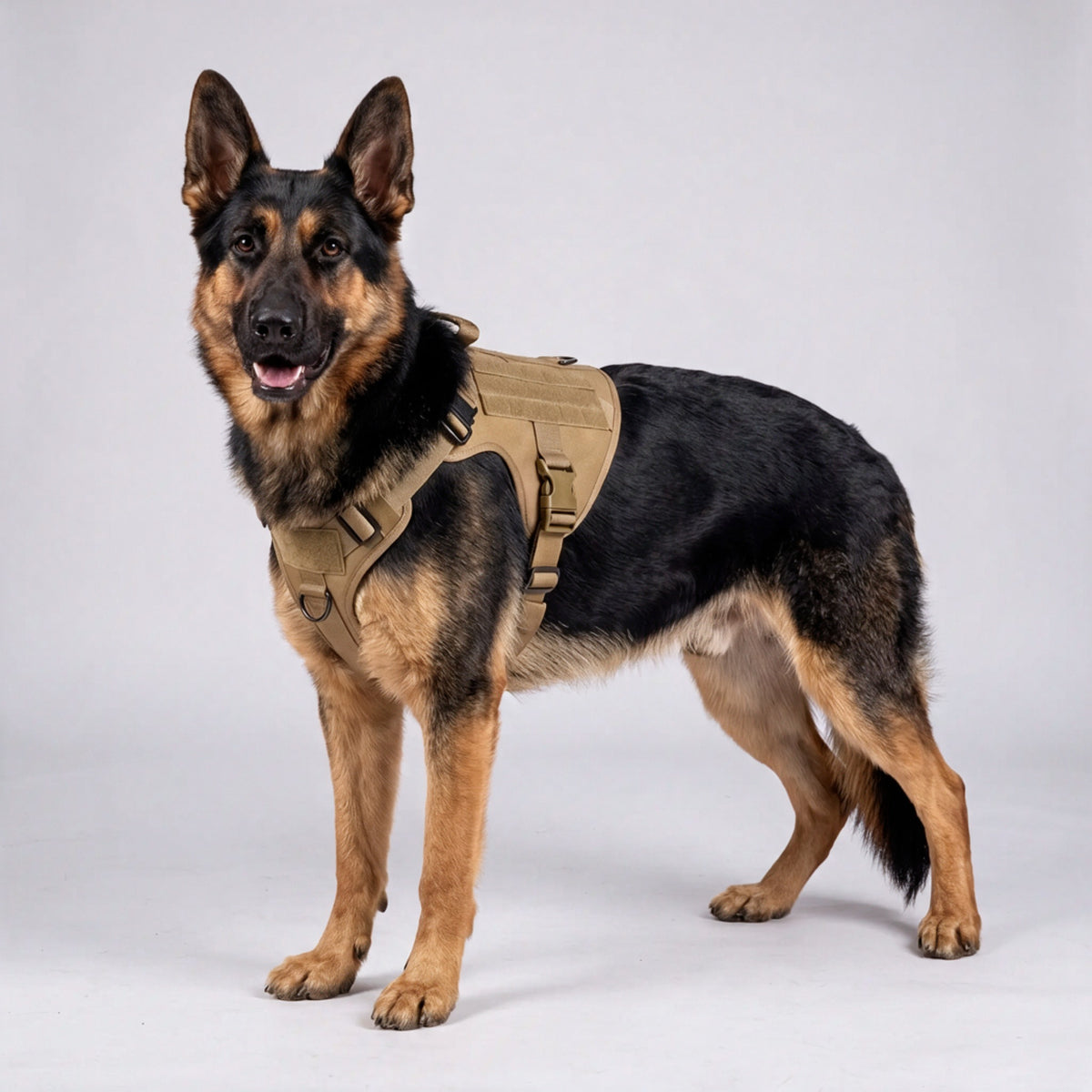 Tactical Control Harness