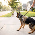 Tactical Control Harness