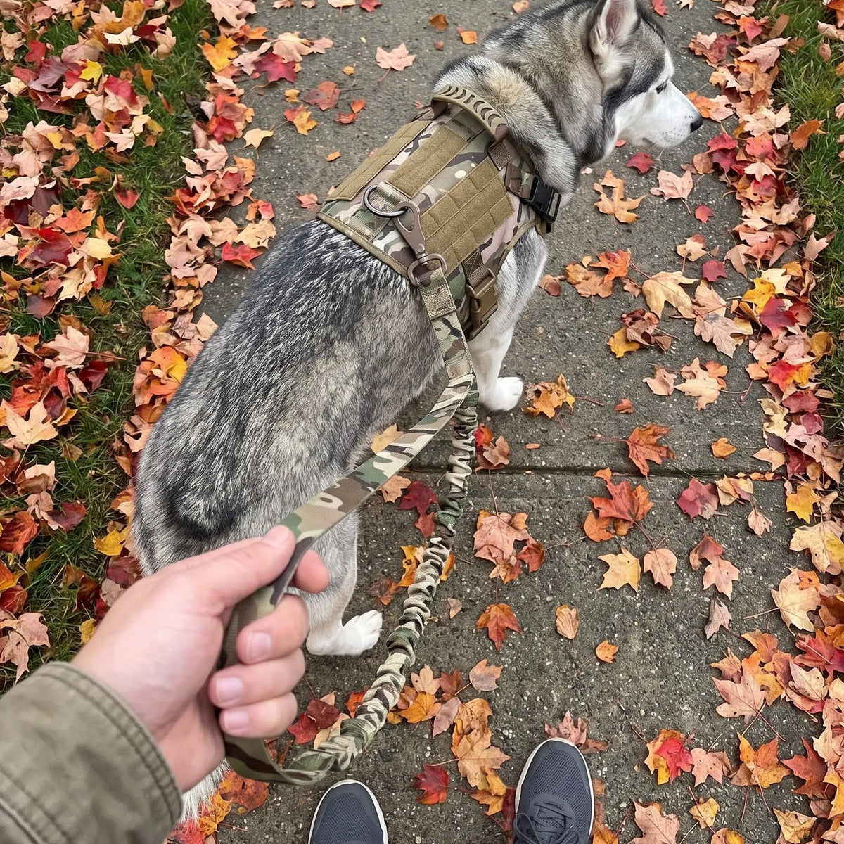 Tactical Control Harness