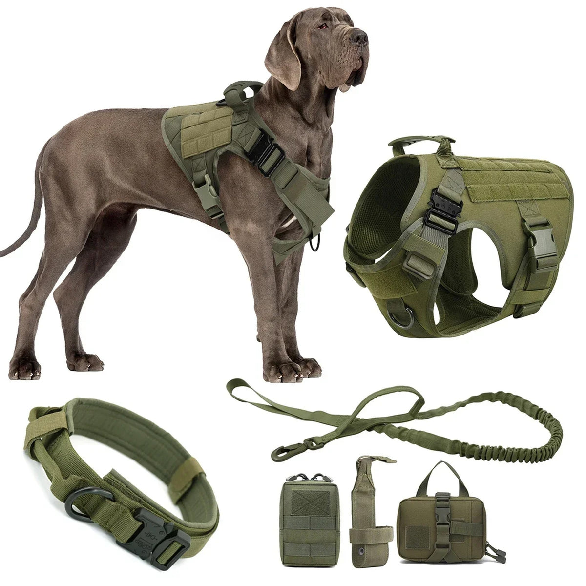 Tactical harness kit with leash