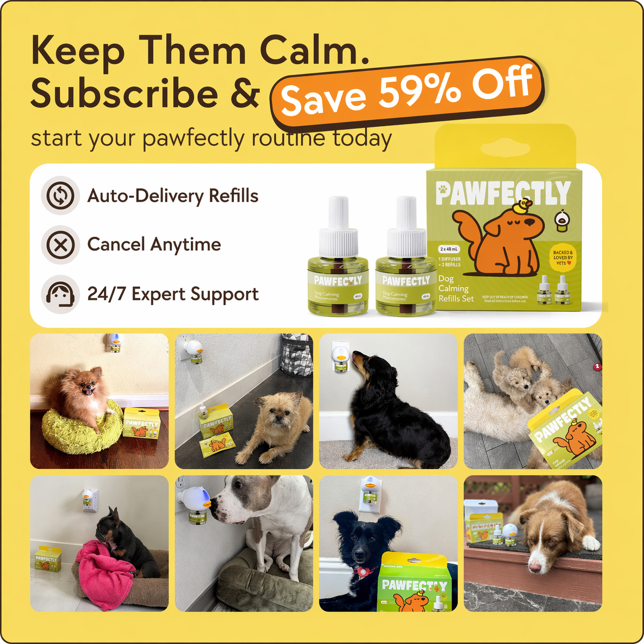 Pawfectlycare Calming Diffuser Kit