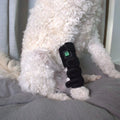 Pawlight Red Light Leg Wrap
