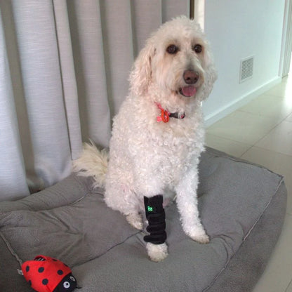 Pawlight Red Light Leg Wrap