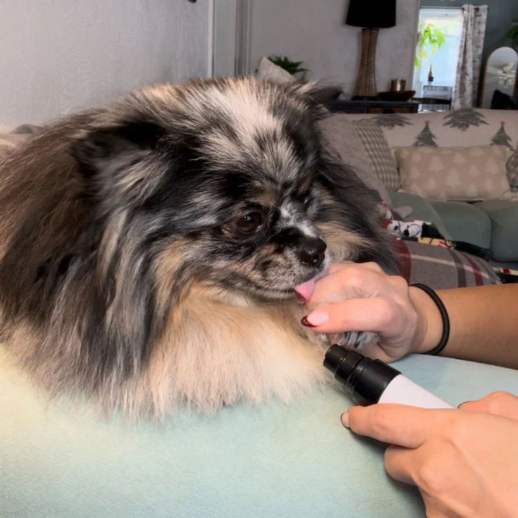 Pawfectly Groomer
