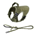 Padded Double-Handle Leash