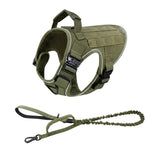 Harness and padded leash