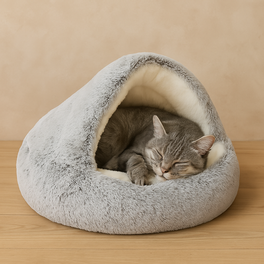 Pawfectly-Care CloudNest