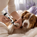 Calm dog getting nails trimmed with Pawfectlycare Groomer