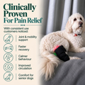 Pawlight Red Light Leg Wrap